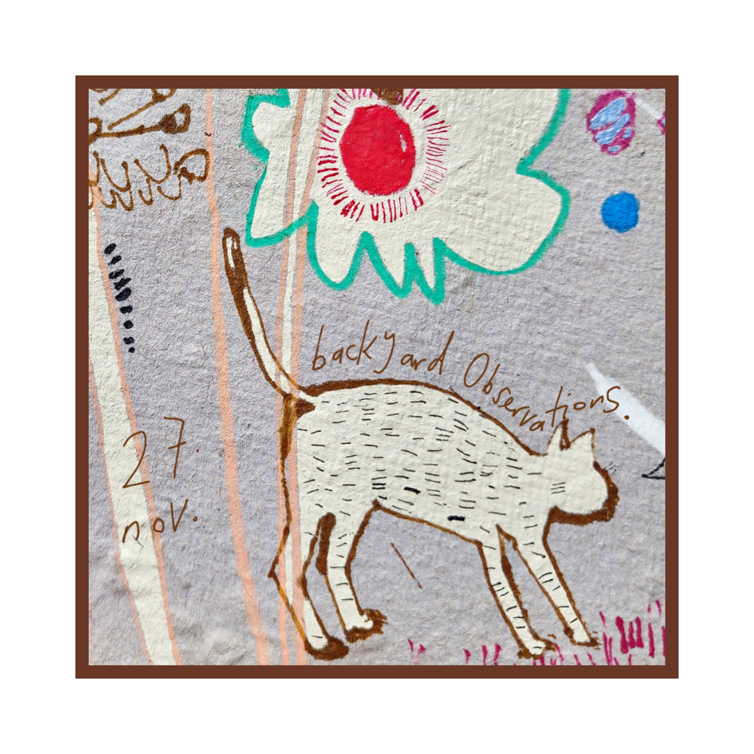 Backyard Observations