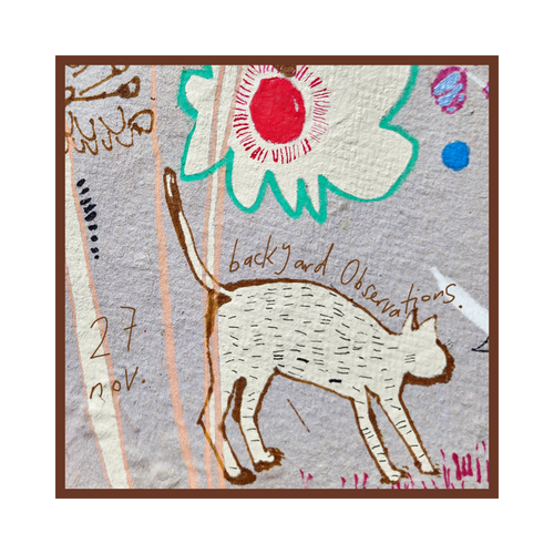 Backyard Observations